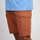 Kleidung Herren Shorts / Bermudas Oxbow Short ORAGO Braun