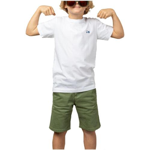 Kleidung Jungen T-Shirts Scotta  Weiss