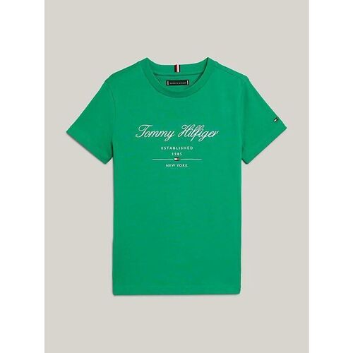 Kleidung Kinder T-Shirts & Poloshirts Tommy Hilfiger KB0KB08803-L4B OLYMPIC GREEN Grün