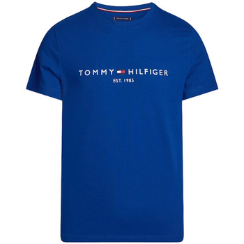 Kleidung Herren T-Shirts & Poloshirts Tommy Hilfiger MW0MW11797 Blau