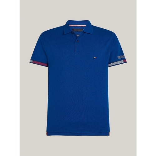 Kleidung Herren T-Shirts & Poloshirts Tommy Hilfiger MW0MW34780 Blau