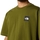 Kleidung Herren T-Shirts & Poloshirts The North Face NSE Patch T-Shirt - Forest Olive Grün