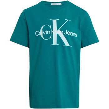 Kleidung Mädchen T-Shirts Calvin Klein Jeans IU0IU00460 Grün