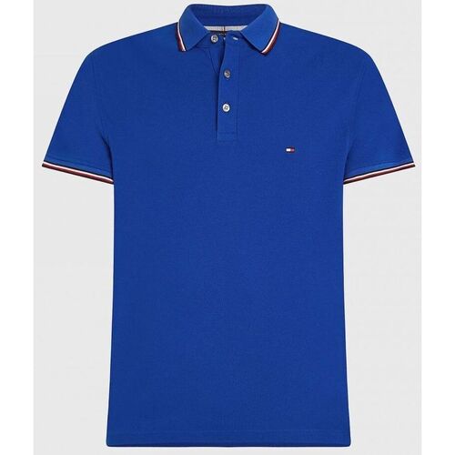 Kleidung Herren T-Shirts & Poloshirts Tommy Hilfiger MW0MW30750 - 1985 RWB POLO-C66 ULTRA BLUE Blau