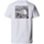 Kleidung Herren T-Shirts & Poloshirts The North Face Redbox Celebration T-Shirt - White Weiss