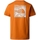 Kleidung Herren T-Shirts & Poloshirts The North Face Redbox Celebration T-Shirt - Desert Rust Orange