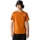 Kleidung Herren T-Shirts & Poloshirts The North Face Redbox Celebration T-Shirt - Desert Rust Orange