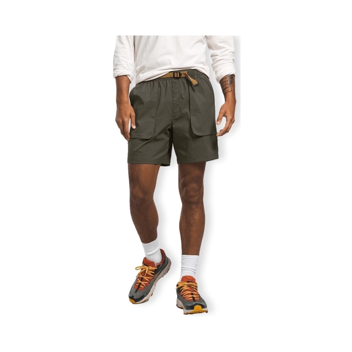 Kleidung Herren Shorts / Bermudas The North Face Class V Ripstop Shorts - New Taupe Green Grün