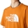Kleidung Herren T-Shirts & Poloshirts The North Face Easy T-Shirt - Desert Rust Orange