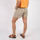 Kleidung Damen Shorts / Bermudas Oxbow Short OKAY Grau