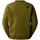 Kleidung Herren Sweatshirts The North Face 489 Sweatshirt - Forest Olive Grün