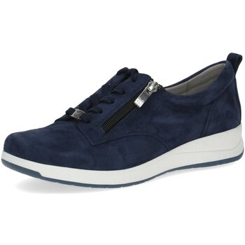 Schuhe Damen Derby-Schuhe & Richelieu Caprice Schnuerschuhe ocean -suede 9-23760-42 857 Blau