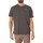 Kleidung Herren T-Shirts Pompeii Residence-Grafik-T-Shirt Grau