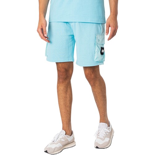 Kleidung Herren Shorts / Bermudas Weekend Offender Pinke Sands-Cargoshorts Blau