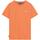 Kleidung Herren T-Shirts Superdry  Orange