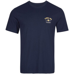 Kleidung Herren T-Shirts & Poloshirts O'neill 2850006-15011 Blau