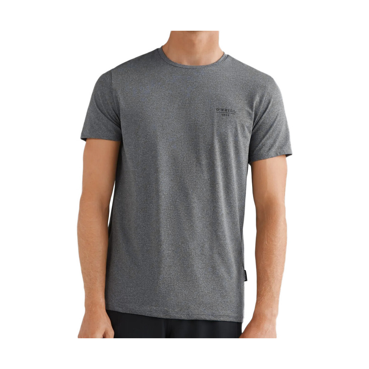 Kleidung Herren T-Shirts & Poloshirts O'neill 2850039-18014 Grau