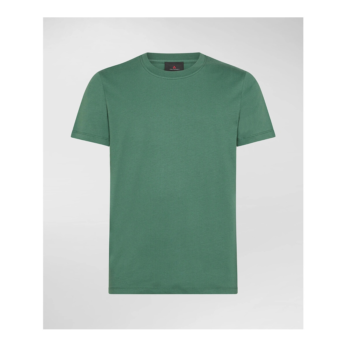 Kleidung Herren T-Shirts & Poloshirts Peuterey PEU5133 Grün
