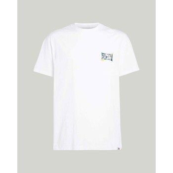 Kleidung Herren T-Shirts Tommy Hilfiger DM0DM18562YBR Weiss