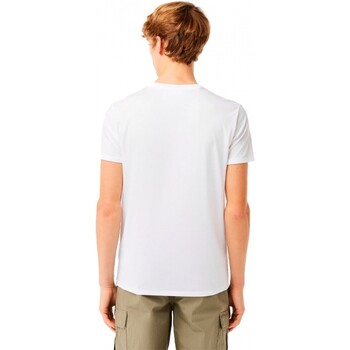 Kleidung Herren T-Shirts Lacoste  Weiss