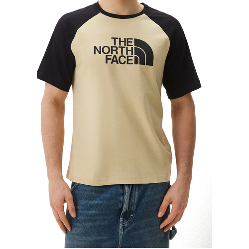 Kleidung Herren T-Shirts The North Face NF0A87N7 Grau