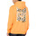 Kleidung Herren Sweatshirts Dickies DK0A4Y6ME821 Orange