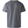 Kleidung Herren T-Shirts & Poloshirts The North Face Fine T-Shirt - Smoked Pearl Grau
