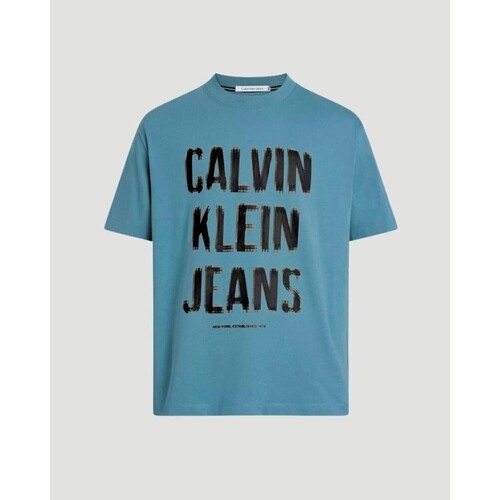 Kleidung Herren T-Shirts Calvin Klein Jeans J30J324648 Blau