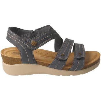 Schuhe Damen Sandalen / Sandaletten Clarks  Blau