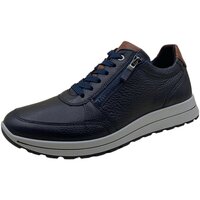Schuhe Herren Derby-Schuhe & Richelieu Ara Schnuerschuhe MATTEO 11-24501-12 Blau