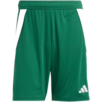Kleidung Herren Shorts / Bermudas adidas Originals IS1410 Grün