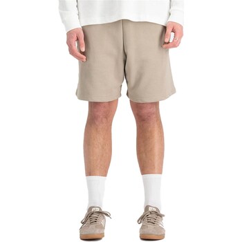 Kleidung Herren Shorts / Bermudas Alpha 146363 Other