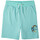 Kleidung Jungen Shorts / Bermudas O'neill 4700003-16014 Blau