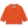 Kleidung Damen Pullover Wild Pony Knit 10604 - Orange Orange
