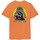 Kleidung Herren T-Shirts Santa Cruz SCA-TEE-10725 Other
