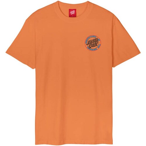 Kleidung Herren T-Shirts Santa Cruz SCA-TEE-10725 Other