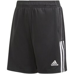 Kleidung Jungen Shorts / Bermudas Adidas Sportswear Sport TIRO21 TR SHO Y GN2161 Schwarz