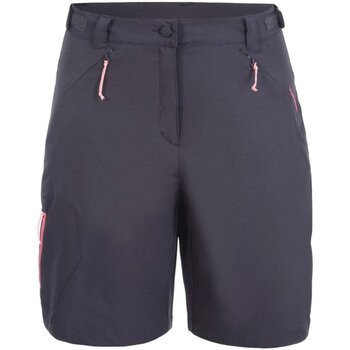 Kleidung Damen Shorts / Bermudas Icepeak Sport  BEAUFORT 554503522I 290 Other
