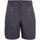 Kleidung Damen Shorts / Bermudas Icepeak Sport  BEAUFORT 54503522I 290 Other
