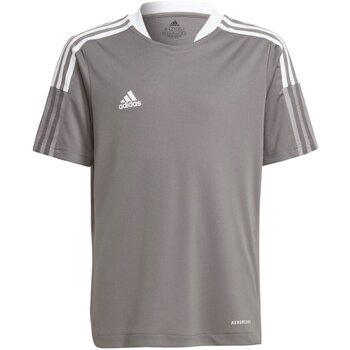 Kleidung Jungen T-Shirts & Poloshirts Adidas Sportswear Sport TIRO21 TR JSY Y GM7578 Other