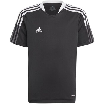 Kleidung Jungen T-Shirts & Poloshirts Adidas Sportswear Sport TIRO21 TR JSY Y GM7575 Other