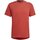 Kleidung Herren T-Shirts adidas Originals Sport M D4S TEE HB9197-000 Rot