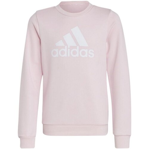 Kleidung Jungen Sweatshirts adidas Originals Sport G BL SWT IC6119 000 Other