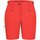 Kleidung Damen Shorts / Bermudas Icepeak Sport SAANA 354503522I/643 643 Other