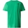 Kleidung Herren T-Shirts & Poloshirts The North Face Simple Dome T-Shirt - Optic Emerald Grün