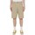 Kleidung Herren Shorts / Bermudas Dickies DK0A4XNGF021 Beige