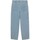 Kleidung Herren Straight Leg Jeans Dickies DK0A4YECC151 Blau