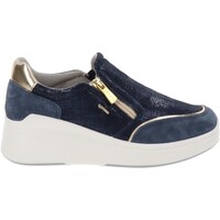 Schuhe Damen Sneaker IgI&CO IG-5654500 Blau