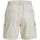 Kleidung Damen Shorts / Bermudas Jjxx 12225955 HOLLY CARGO SHORTS-MOONBEAM Beige