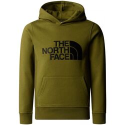 Kleidung Kinder Sweatshirts The North Face NF0A89PS B DREW HD-SPI FOREST Grün